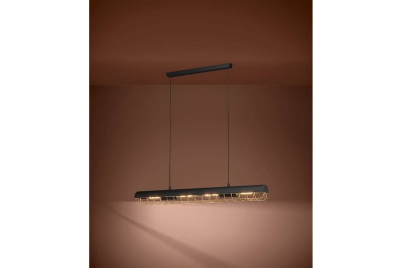 Takpendel Eglo Alfonsine Svart/Mässing - Products - Belysning - Lampor & belysning inomhus - Taklampa & takbelysning - Pendellampa & hänglampa