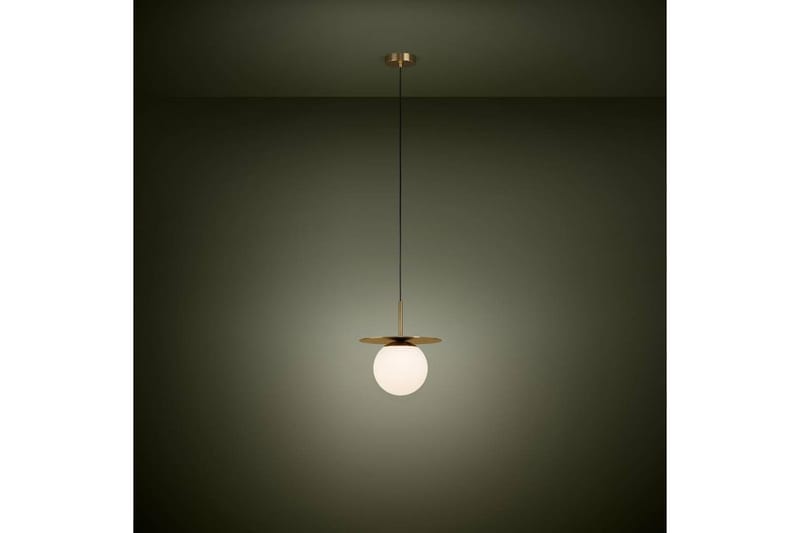 Takpendel Eglo Arenales Mässing/Opalvit - Products - Belysning - Lampor & belysning inomhus - Taklampa & takbelysning - Pendellampa & hänglampa