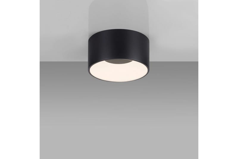 Tanika Just Light Taklampa - Black - Products - Belysning - Lampor & belysning inomhus - Taklampa & takbelysning - Takplafond