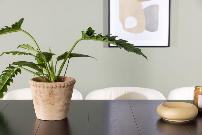 Astrid Matgrupp 200 cm Rektangulär med 6 Edina Stolar - Svart - Products - Möbler - Bord & matgrupp - Matgrupp