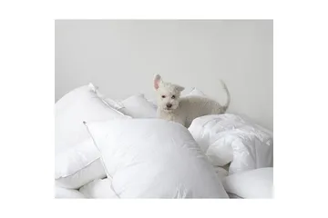 Kudde Hotellkudde - 50 x 70 cm - Products - Textil & mattor - Sängkläder