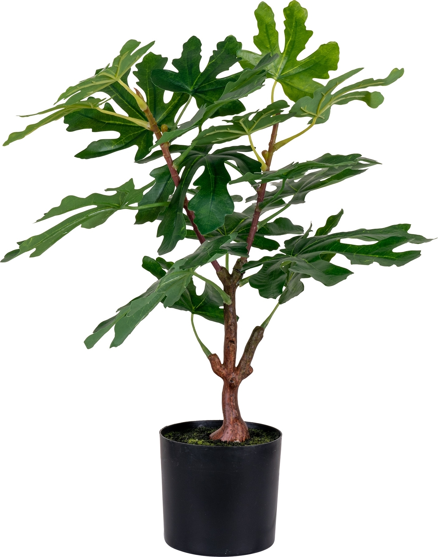 Fikentre kunstig plante - Grønn Fikentre kunstig plante - Grønn