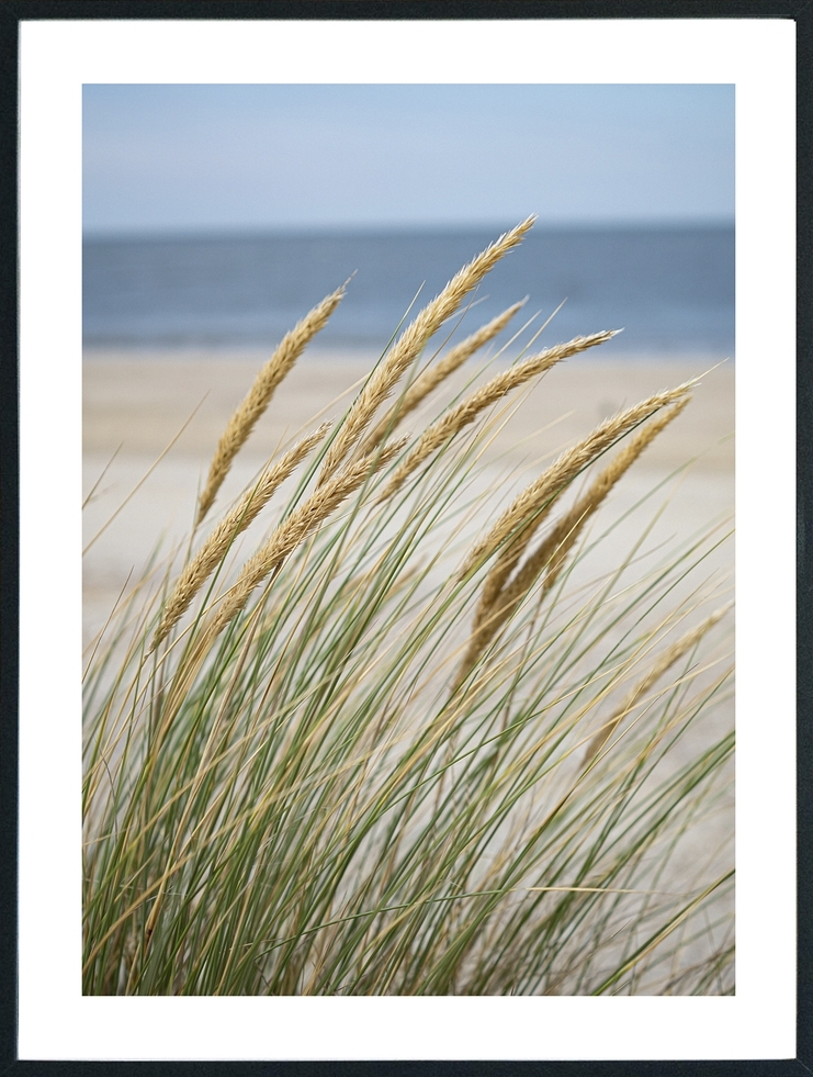 Posterworld 50x70 cm - Motiv Vindfull Strand