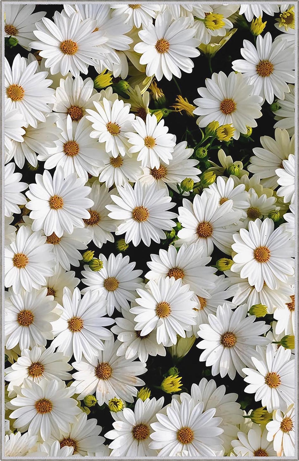 Hermitage 521 teppe Hermitage 521 teppe