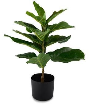 Kunstig plante - Fikus 55 cm