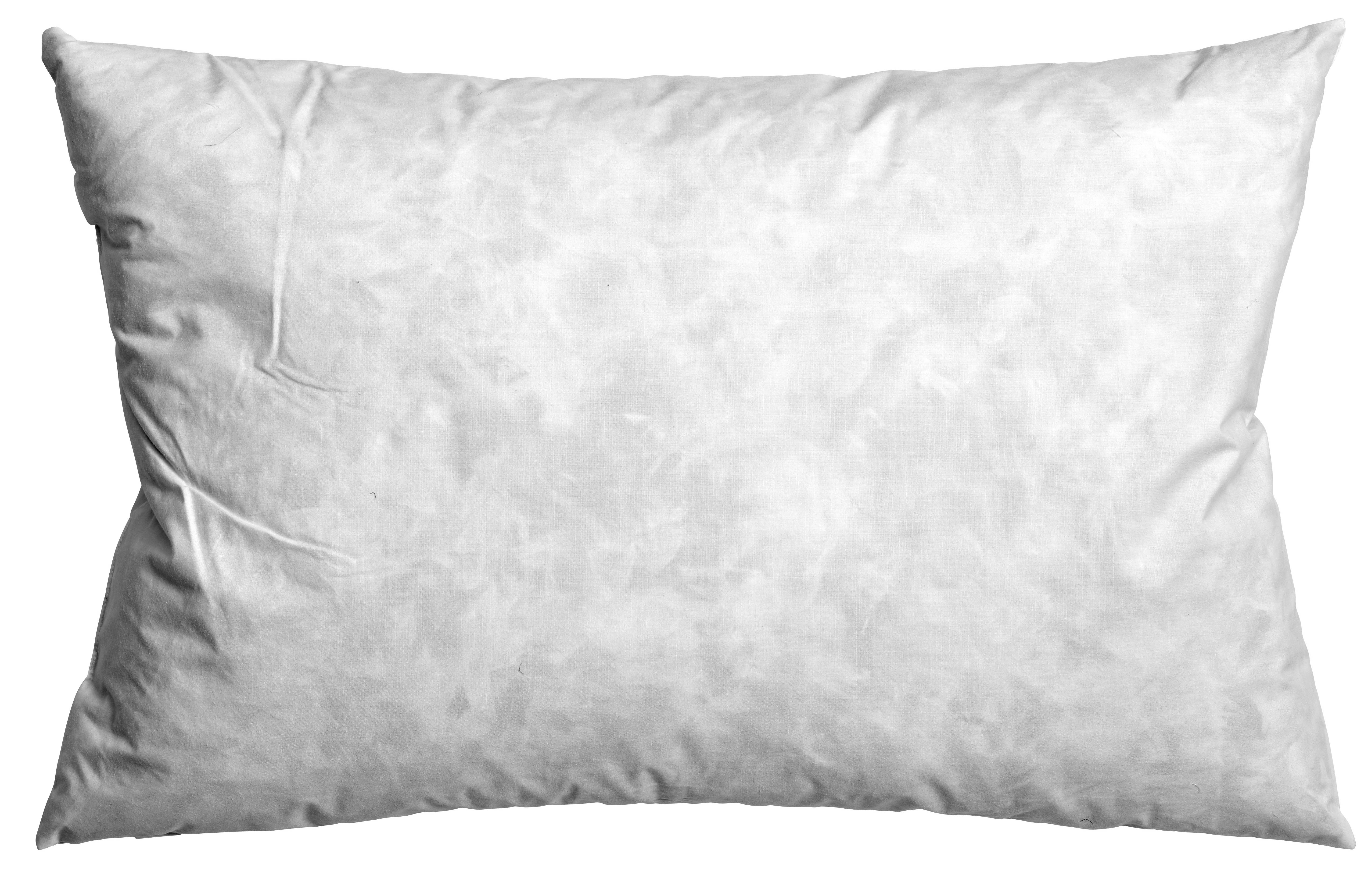 Innerpute Dun 630g - 40x60 cm