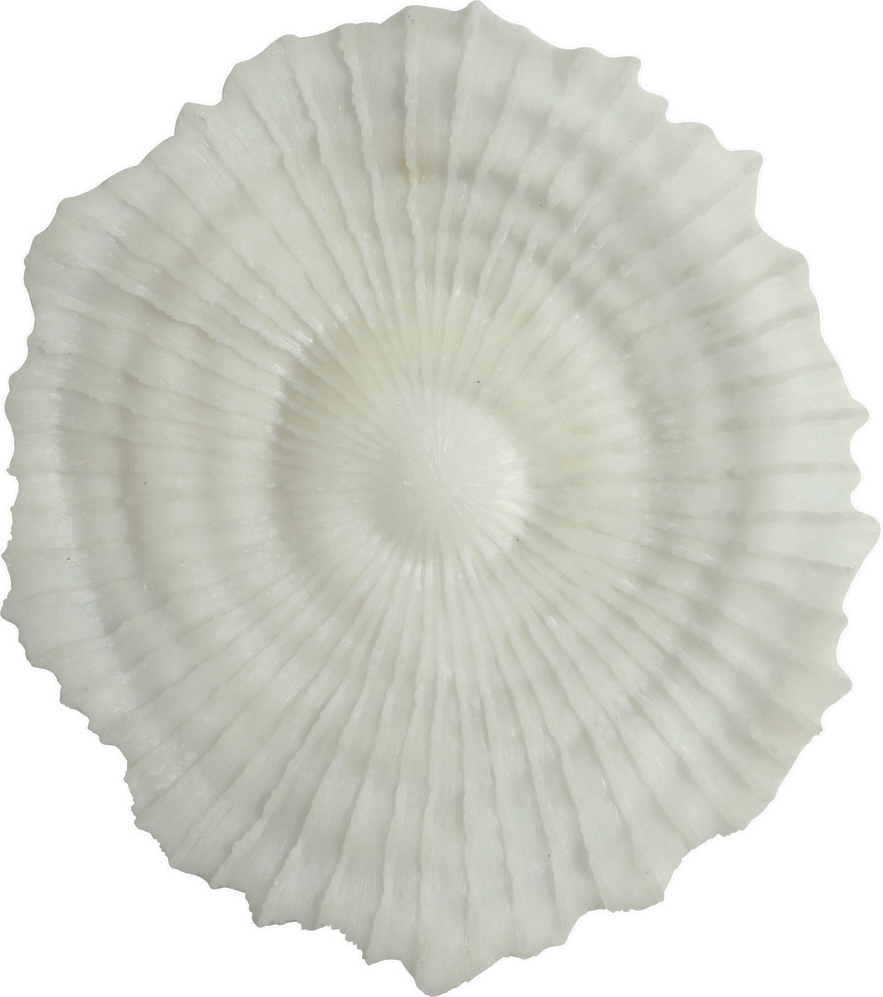 Korall v�ggdekoration D 48 cm - Ljus