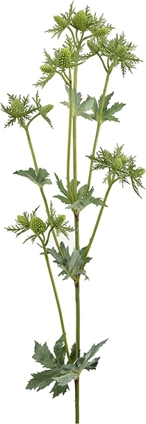 Tistel kunstig plante