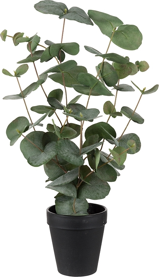 Eukalyptus kunstig plante