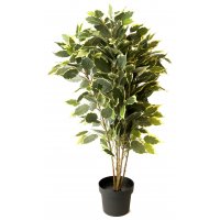 Kunstig plante - Fikus H80 cm Kunstig plante - Fikus H80 cm