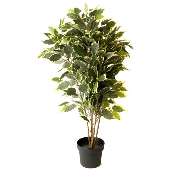 Kunstig plante - Fikus H80 cm