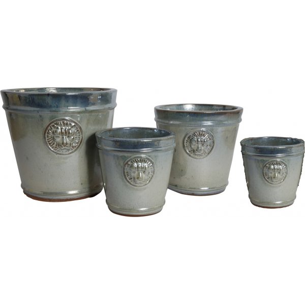 Sett med 4 potter Lion - Grnn / bl