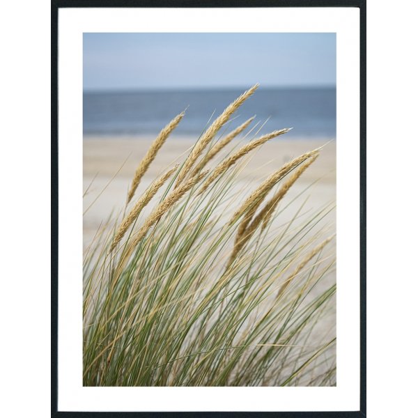 Posterworld 70x100 cm - Motiv Vindfull Strand