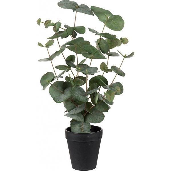 Eukalyptus kunstig plante