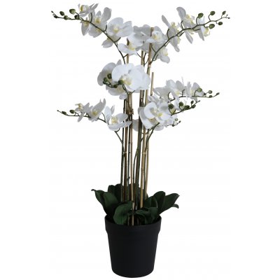 Kunstig plante - Orkidé 9 stengler H90 cm - Hvit