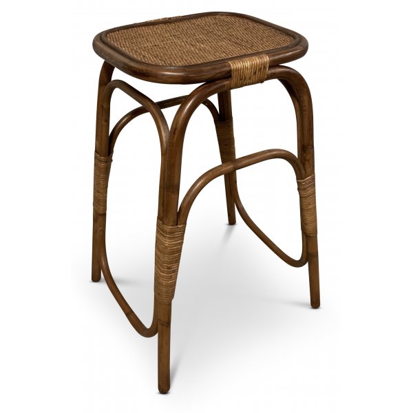 Borneo nattbord - Brunbeiset rotting Borneo nattbord - Brunbeiset rotting