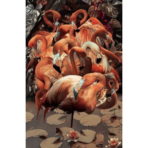 Glassmaling - Flamingo - 80 x 120 cm