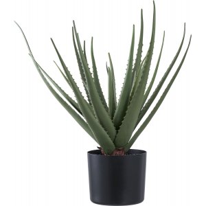 Aloe Vera kunstig plante - H:51 cm - Grnn