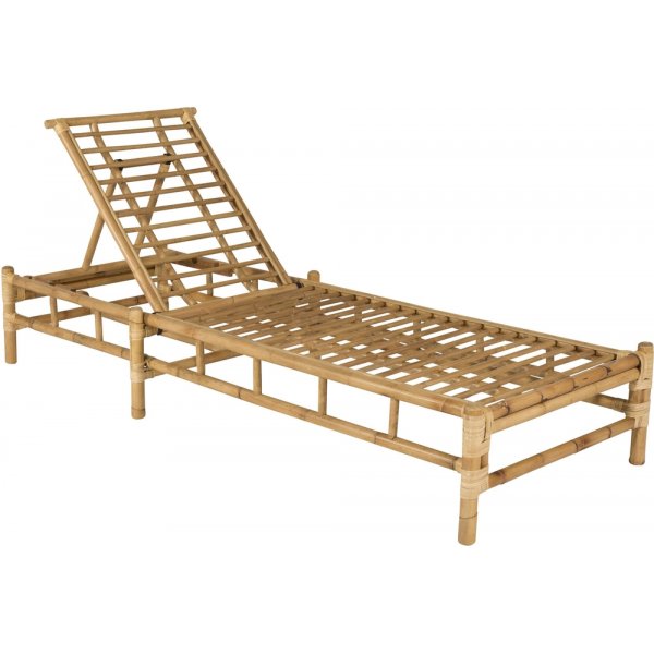 Cane solseng - Gr/rotting