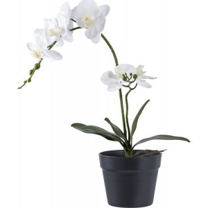 Orkide kunstig plante - H:47 cm - Grnn/hvit