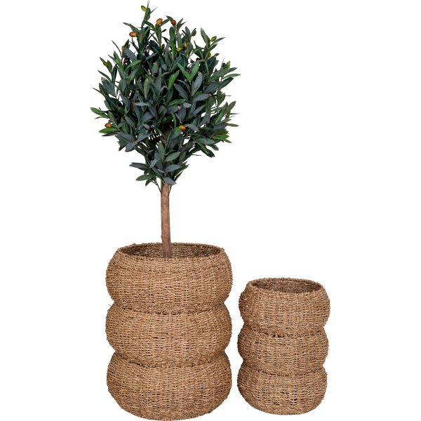 Sarbas kurvsett - Beige Sarbas kurvsett - Beige