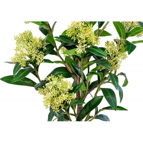Skimmia tre kunstig plante - Grnn