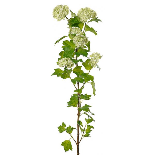 Olvon kunstig plante