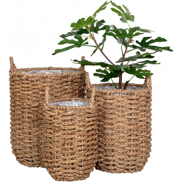 Hue krukaor - Tang Hue krukaor - Tang