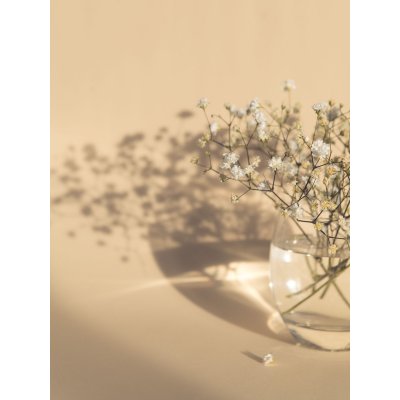 Plakat - hvite blomster