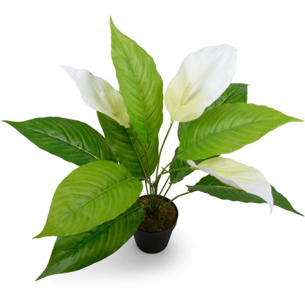 Kunstig plante  Fredslilje 30 cm