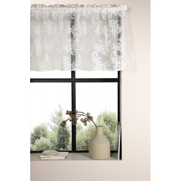 Bellis gardin - Hvit Bellis gardin - Hvit