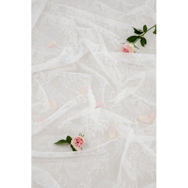 Bellis gardin - Hvit Bellis gardin - Hvit