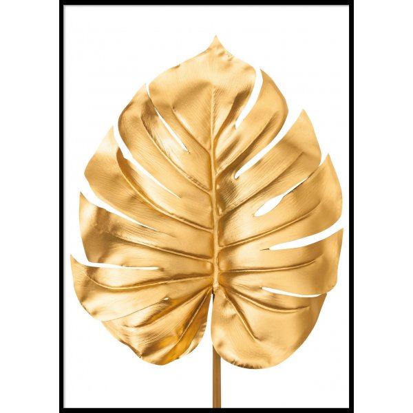 GOLDEN MONSTERA - Plakat 50x70 cm