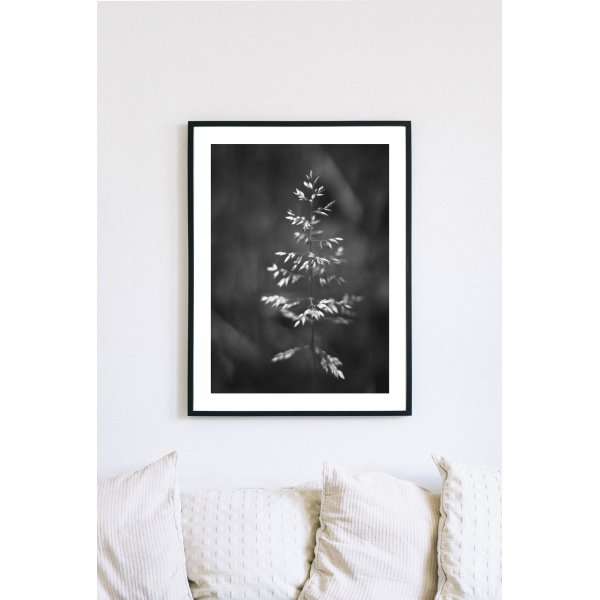 Posterworld 70x100 cm - Motiv Gress Posterworld 70x100 cm - Motiv Gress