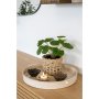 Kunstig elefantreplante - H:28 cm - Grnn
