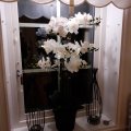 Kundebilde Kunstig plante - Orkidé 9 stengler H90 cm - Hvit