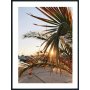 Posterworld - Motiv Palme - 50x70 cm