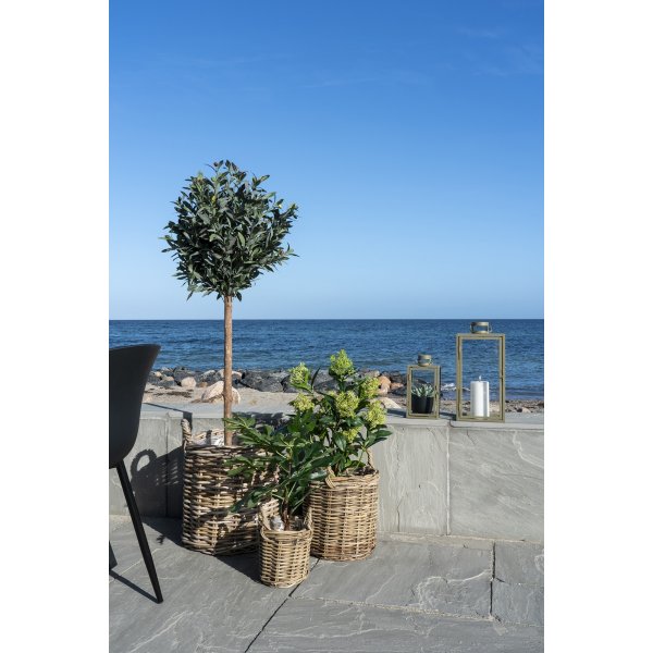 Skimmia tre kunstig plante - Grnn