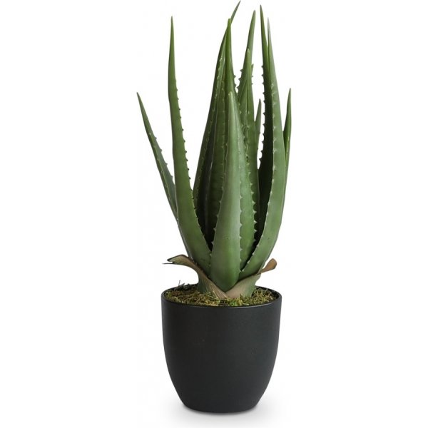 Verde kunstig plante - Alovera