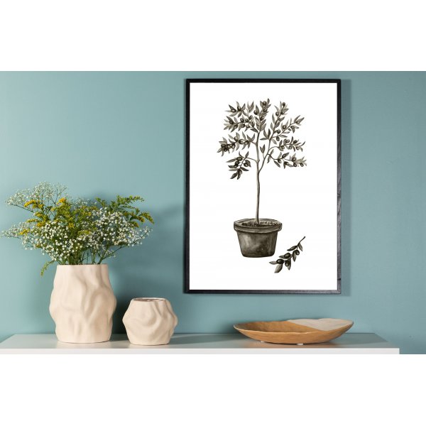Plakat - Oliven Plakat - Oliven