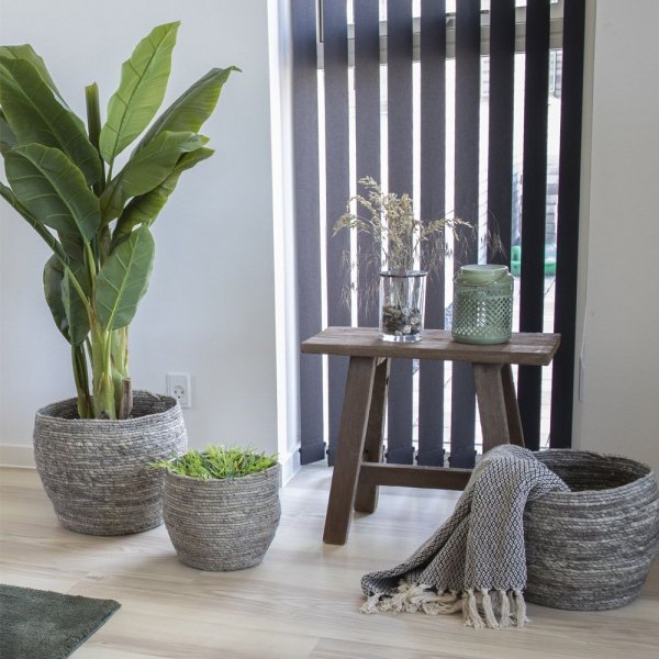 Barcelona benk - Teak