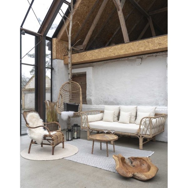 Jammu salongbord - Mango Trees Jammu salongbord - Mango Trees