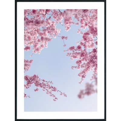 Posterworld - Motiv blomst p himmelen - 70x100 cm