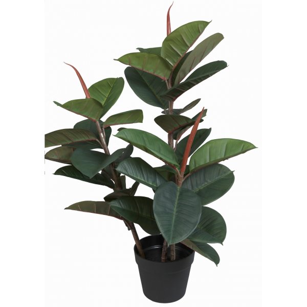 Kunstig plante - Gummifikus H80 cm