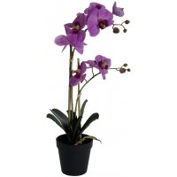 Kunstig plante - Orkidé 2 stengler H54 cm - Rosa Kunstig plante - Orkidé 2 stengler H54 cm - Rosa