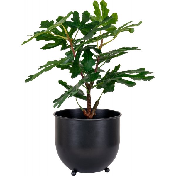 Fikentre kunstig plante - Grønn Fikentre kunstig plante - Grønn