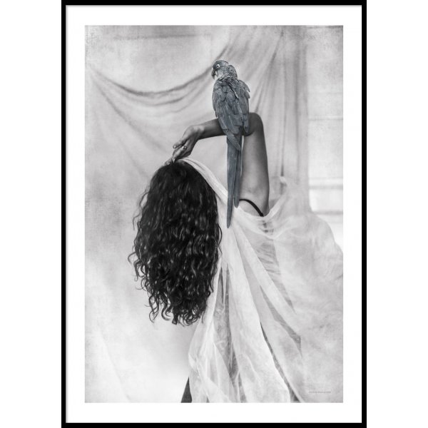 TIME TO FLY - Plakat 50x70 cm