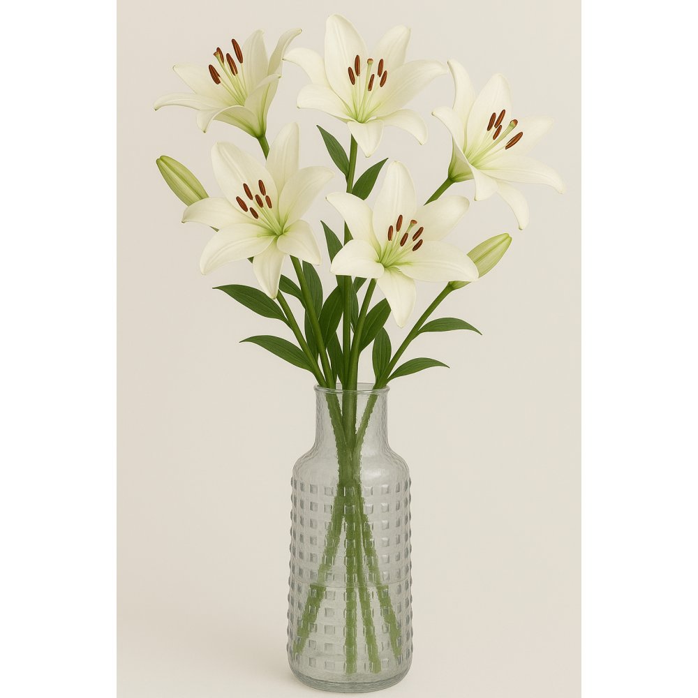 Vase Circle H30 cm - Clear - Lagerrydding