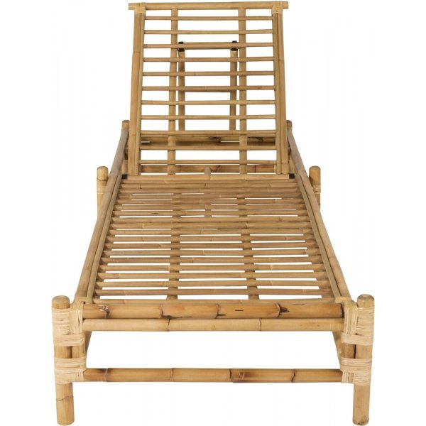 Cane solseng - Gr/rotting