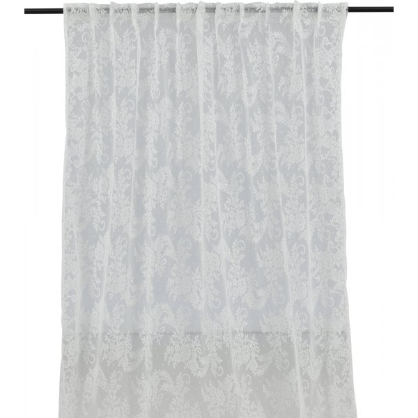 Bellis gardin - Hvit Bellis gardin - Hvit